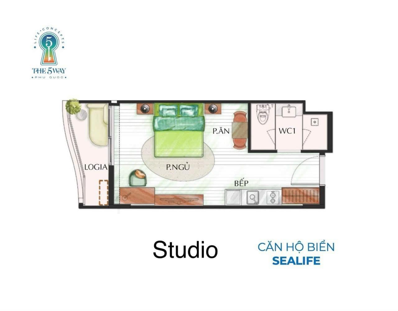 layout thiết kế căn hộ studio